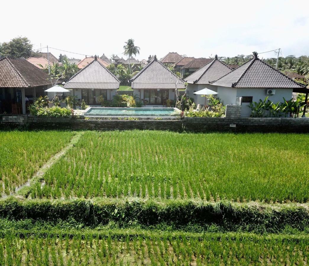 Paraiso Cottage Ubud Екстериор снимка