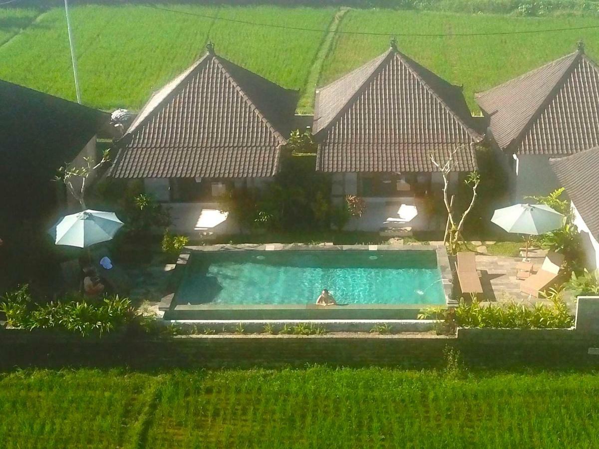 Paraiso Cottage Ubud Екстериор снимка